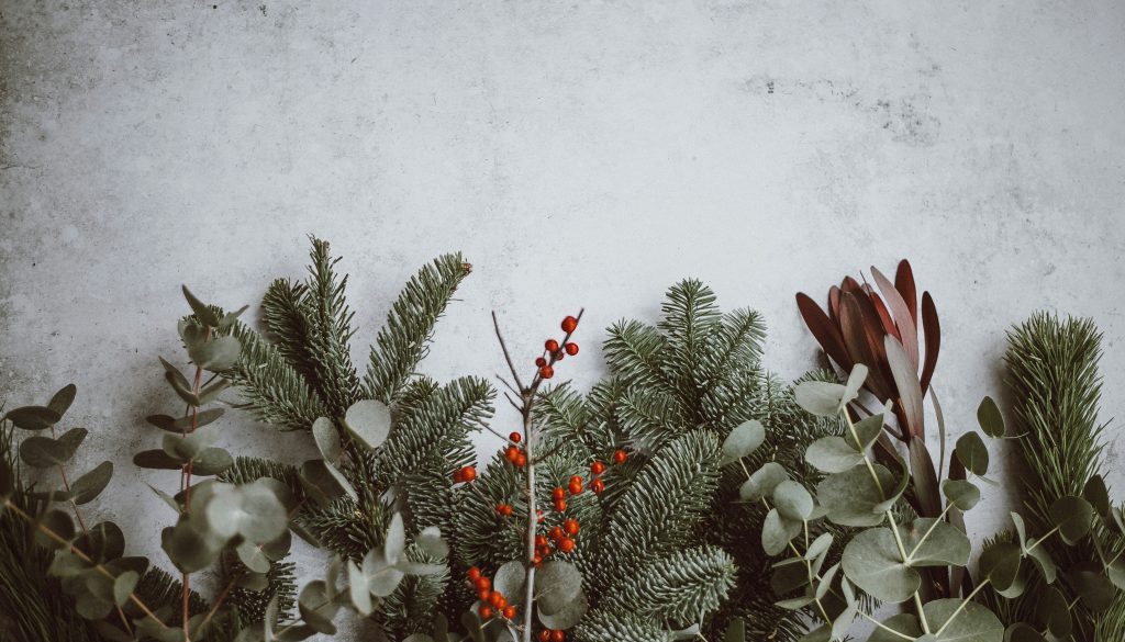 annie-spratt-QKo-op_gR9I-unsplash
