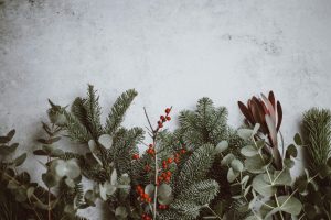 annie-spratt-QKo-op_gR9I-unsplash