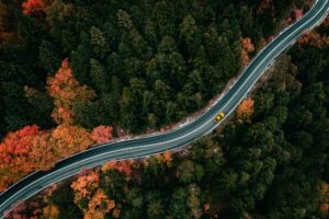 marios-gkortsilas-ARXEhZqdxMg-unsplash