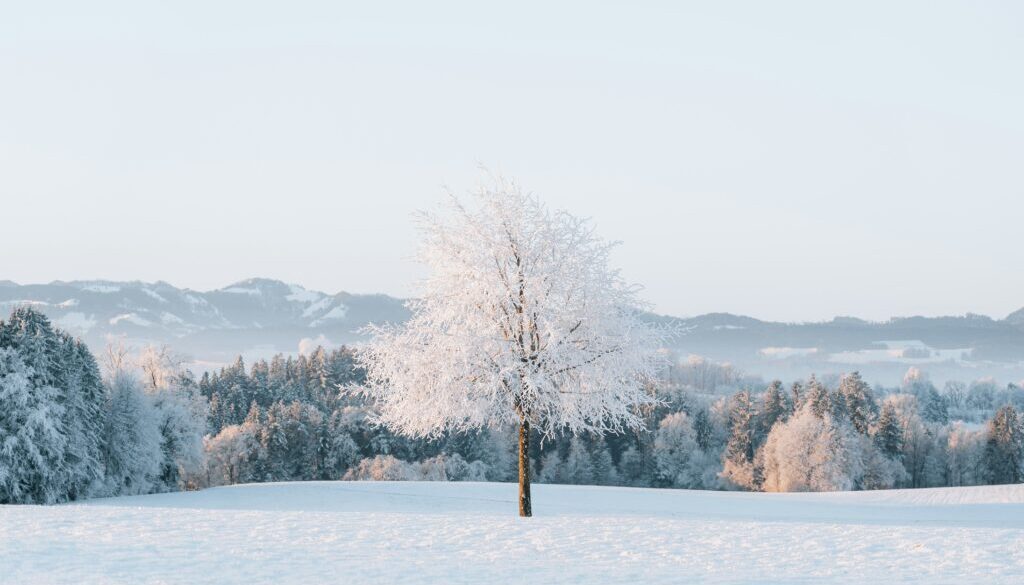 pascal-debrunner-Bd-PwE6KnSc-unsplash
