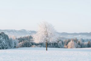 pascal-debrunner-Bd-PwE6KnSc-unsplash